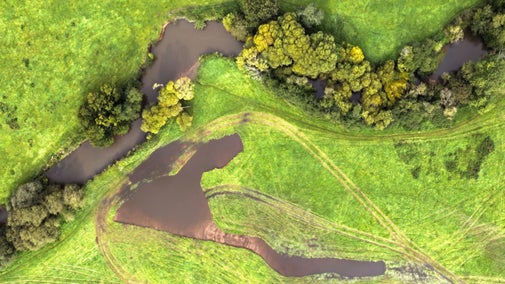 Aerial photo of wetland scrapes on the River Culm
